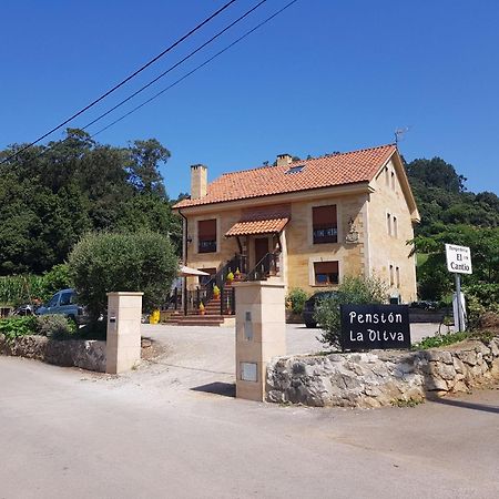 Hotel La Oliva Orena Exteriér fotografie